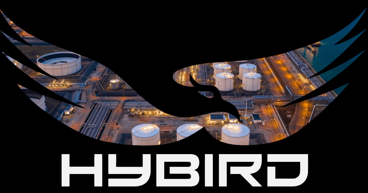 HyBird.ai